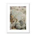 image10