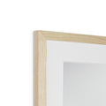 image11