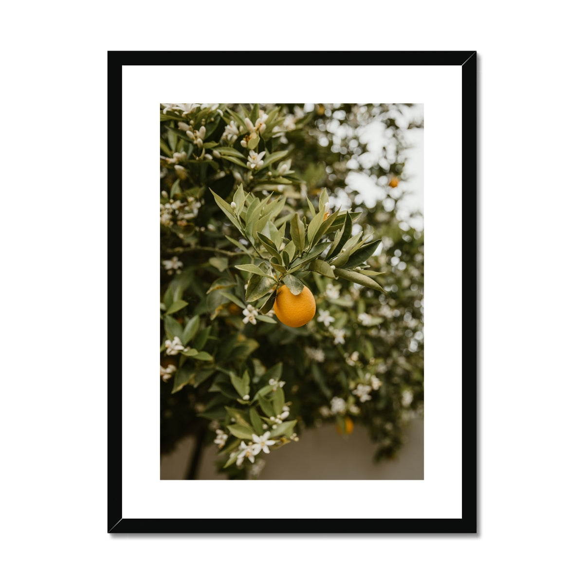 image9