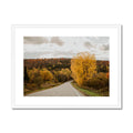 image10