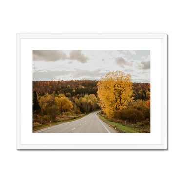 image10