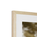 image11