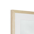 image11