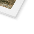 image10