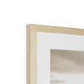 image11