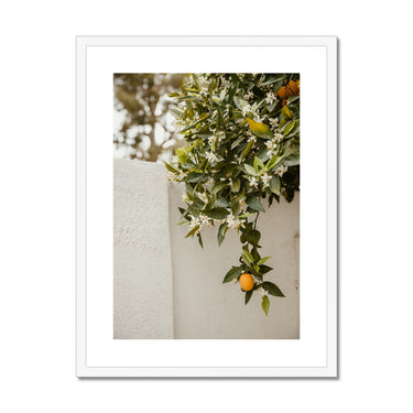 image10