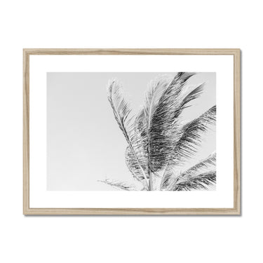 image11