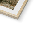 image11