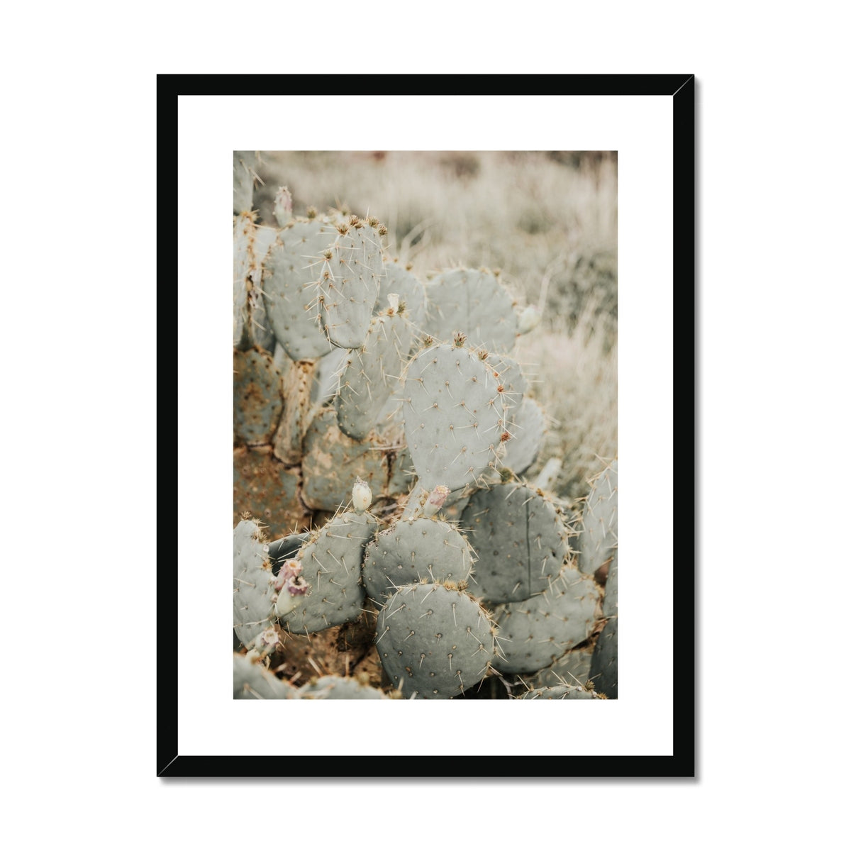 image9