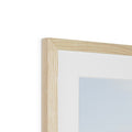 image11