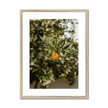 image11