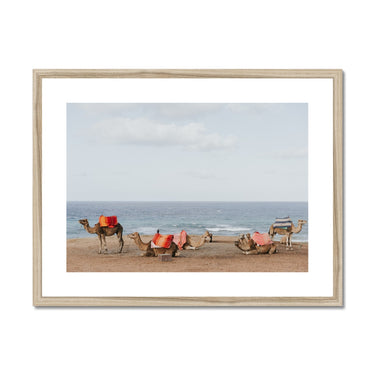image11