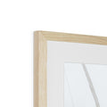 image11